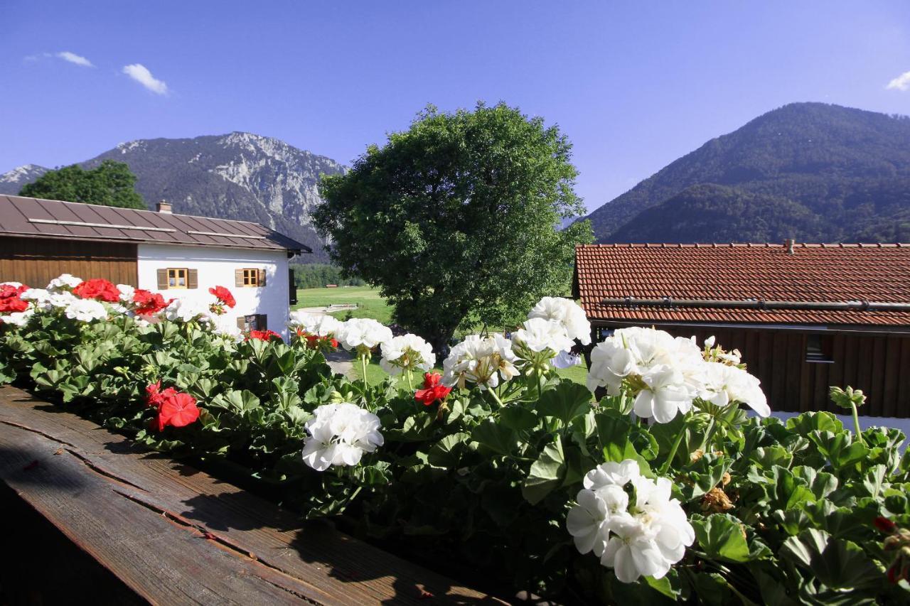 Ferienwohnung Schifterhof ルーポルディング 部屋 写真